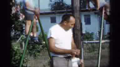 Florida (1958): Woman Wearing Black Shirt Walks Past Pink Rosebush On Sunny Day
