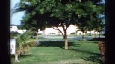 Florida (1958): Large Green Tree And White House On Sunny Day