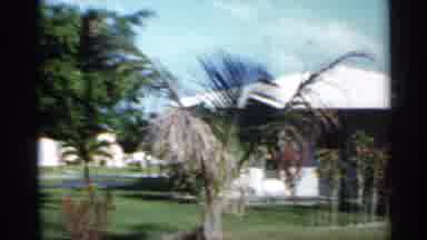 Florida (1958): Palm Trees Swing In Wind Whilst Children Wonder By