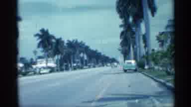 Florida (1958): Cars Driving Down California With Huge Palm Trees