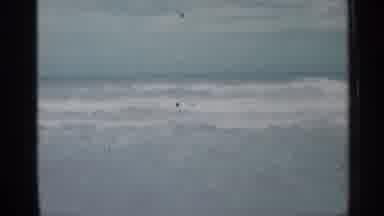 Florida (1958): Father And Couple Of Sons Enjoys Sea Bed And Kids Enjoys Mother