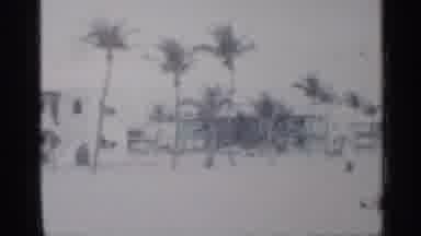 Florida (1958): Beach Houses By Palm Trees
