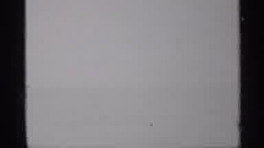 Florida (1958): Video OF Tree And A White Background
