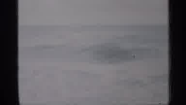 Florida (1958): Ocean Eyes With White Cps Nothing Else Visible