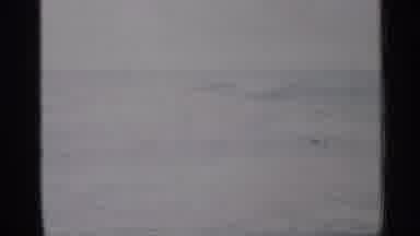Florida (1958): Eves Roll In And Scene In Yard By House Of Man Woman And Three