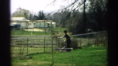 Arizona (1959): Woman With Garden Hers Woolgathering One Fence In Curl Suburb