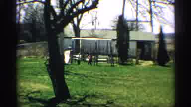 Arizona (1959): Two Kids Playing On Backyard Swing Set On Bright Sunny Day