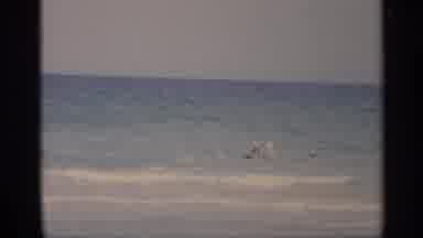 California (1959): Man Sitting In Beach Chair Next To Woman Wearing Sun Glasses