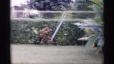 California (1959): Video Footage Of Perfecta Landscaping Manicured Lawn Loveliness