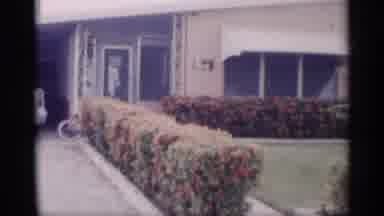 California (1959): Wonderful Garden And House Looks Egregious And Flowers Are Grey