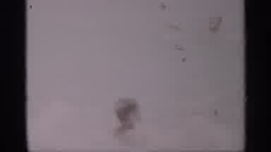 California (1959): Family Spends Day At Beach And Watch Boy Ply In Ocean