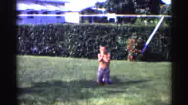 California-1959: Boy Waving in Grassy Yard with Hedge