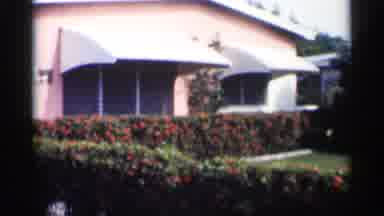 CALIFORNIA-1959: Pink House With Red Rose Bushes And Palm Trees