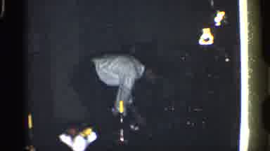 California (1959): Man Reilly Perches And Worksheet Rd Inside Room On His House