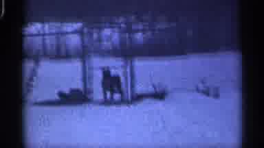 California (1959): It Is Weatherboarding Of Nine In Pace That Seems His Home In