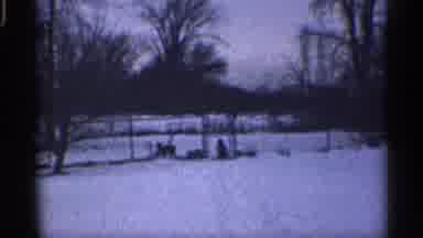 California (1959): Dog Behind Fence In Snowy Terri Of Mystery And Wonder