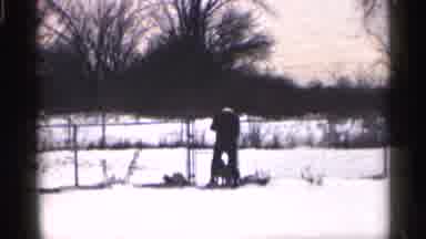 California (1959): Snow Dogs Running Fence Cot Man Potty Trees Ply Park