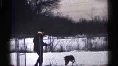 California (1959): Person Feeding Both His Dogs
