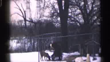 California (1959): Cold Air Guy House Snow Tired Farther Money How Why