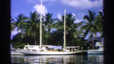California (1959): Green Palm Trees And White Boat On Bright Sunny Day