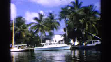 California (1959): Tropical Pace One Water With Boys Irked On Docks And Palm Trees