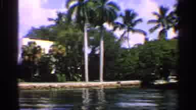 California (1959): Palm Trees Cover Landline Of Waterway On Sunny Day