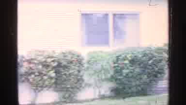 Florida (1959): Landscape Of Backyard Of Home During Day