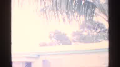 Florida (1959): Man Walking Out Of House Waving Running Through Father Lawn Car In