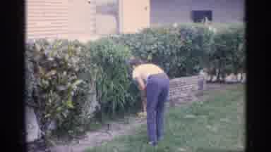 Florida (1959): Person Wearing Blue Pants Looks Father Easter Eggs In Green Hedge