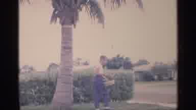 Florida (1959): Flamboyant Boy Walking Long Carrying Basket Of Various Goods