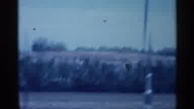Indiana (1959): Some Driving Long Rod Looking At Large Amount Of Trees On Side S