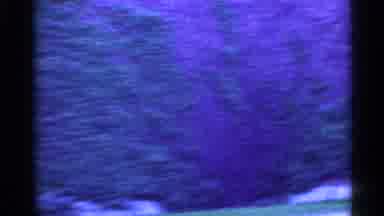 Indiana (1959): View Father On Inside Car While Driving