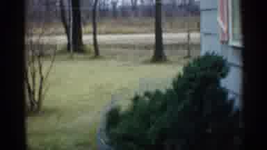 Indiana (1959): Kids Playing In Trees And Yard In Father Of House