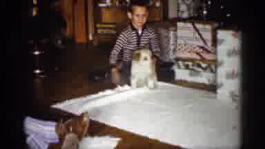 Indiana (1959): Little Boy Who Is Playing With His Dog In Family Room Of Room