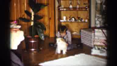 Indiana (1959): Boy Plays With Puppy