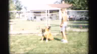 Indiana (1959): Shirtless Boy In Backyard Pets Two Brown Dogs