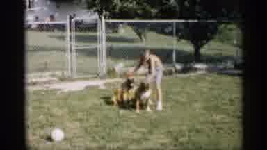 Indiana (1959): Flowering Grey Shooter Pets Two Dogs While People Sit At Picnic