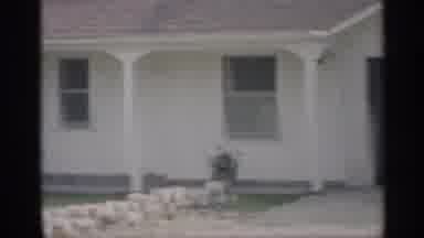 Indiana (1959): Father Yard Home Backyard Child Eating Watermelon At Cookout