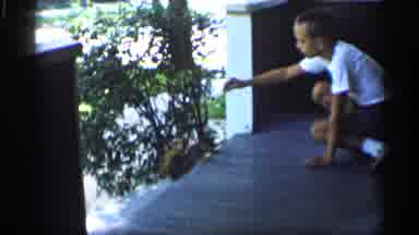 Indiana (1959): Kid Sitting On Porch With Hand Out Feeding Squirrel