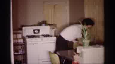 Michigan (1959): Woman Cleans The Kitchen While Boy Poses In Front Of The
