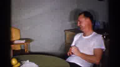 Michigan (1959): Man Wearing White Shirt Sits In Brown Chair Next To Tan Lamp