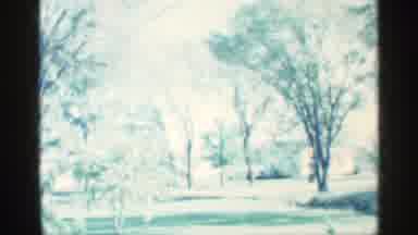 Michigan (1959): Park With Trees And Houses In Background