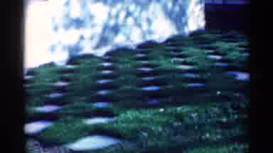 Michigan (1959): Green Manicured Grass Lawn With Inset Stone Pavers In Yard With