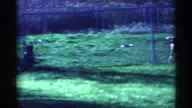 Michigan (1959): Two Dogs Play Behind Chain Link Fence On A Sunny Day