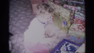 New York (1959): Small Child On Christmas Day Selecting A Present From Under A