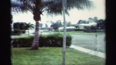 Mississippi (1963): A Green Park O Lot Of Green Trees And The Beautiful Nature