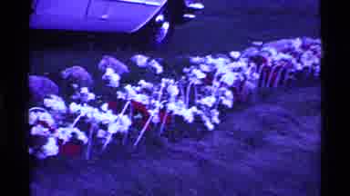 Ohio USA (1969): Filming The Garden Flowers With My Car By The Side