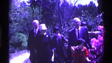 Ohio USA (1969): A Variety Of Flowers Inside The Park With Different And Members