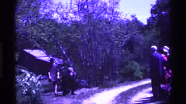 Ohio USA (1969): A Green Park O Lot Of Green Trees And The Beautiful Nature Like