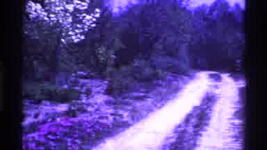 Ohio USA (1969): A View Of A Small House And Surrounding Trees And Driveway